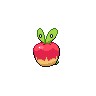 Applin Pokémon