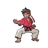 Black Belt Pokémon