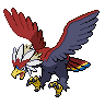 Braviary Pokémon