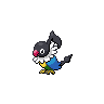 Chatot Pokémon