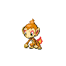 Chimchar Pokémon