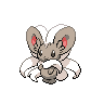 Cinccino Pokémon