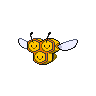Combee 포켓몬