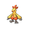 Combusken Pokémon
