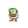 Dartrix 포켓몬