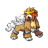 Entei Pokémon