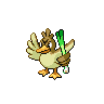 Farfetch'd Pokémon