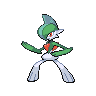 Gallade Pokémon