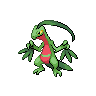 Pokémon Grovyle