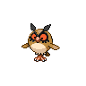 Hoothoot Pokémon