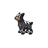 Houndour Pokémon