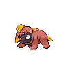 Pokémon Maschiff