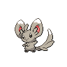 Minccino Pokémon
