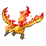 Moltres 포켓몬