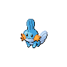 โปเกมอน Mudkip