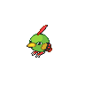Natu 포켓몬