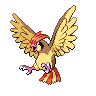 Pidgeotto Pokémon