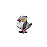 Pidove Pokémon