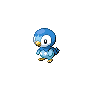 โปเกมอน Piplup