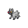 Pokémon Poochyena