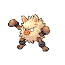 Primeape Pokémon