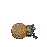 Rellor 포켓몬