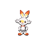 Scorbunny Pokémon