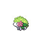 Pokémon Shaymin