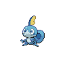 Sobble Pokémon