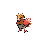 Spearow Pokémon