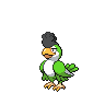 Squawkabilly 포켓몬