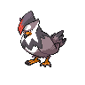 Staraptor Pokémon