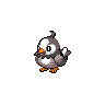 Starly Pokémon