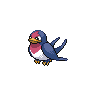 Taillow Pokémon