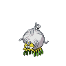 Tarountula 포켓몬