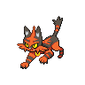 Torracat Pokémon