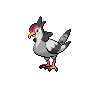 Tranquill Pokémon
