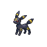 Pokémon Umbreon