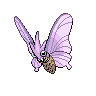 Venomoth 포켓몬