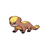 Yungoos Pokémon